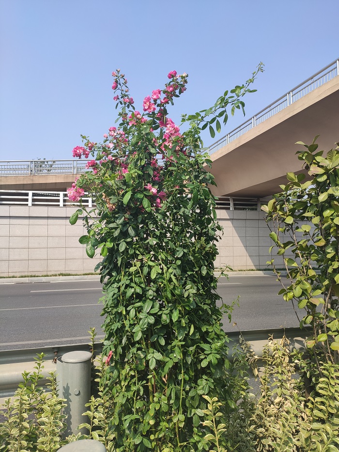 微信图片_20190930180328.jpg